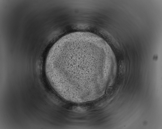 X0000102860739200809021423