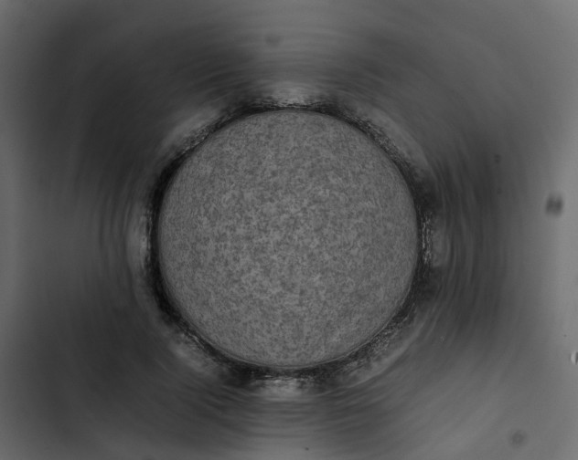 X0000102860740200809021423