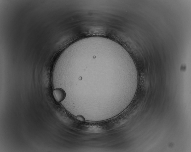 X0000102860741200809021423