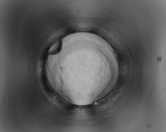 X0000102860742200809021424