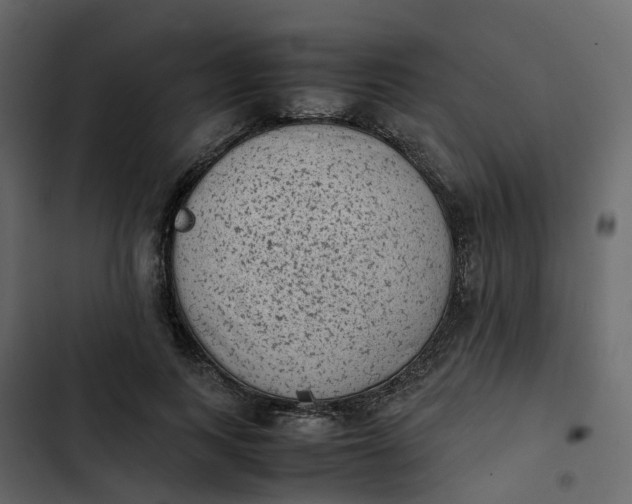 X0000102860743200809021424