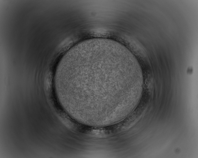 X0000102860744200809021424