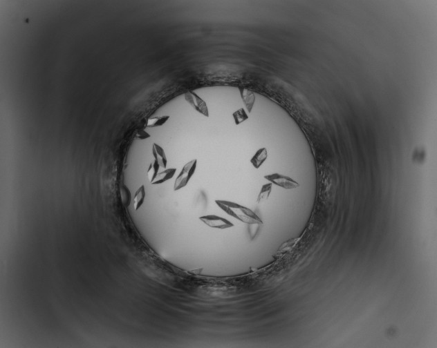 X0000102860745200809021424