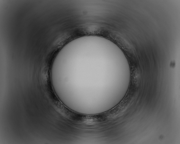 X0000102860746200809021424