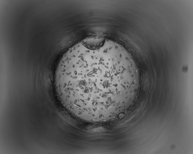 X0000102860747200809021424