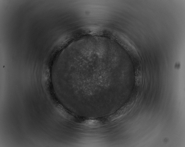 X0000102860748200809021424