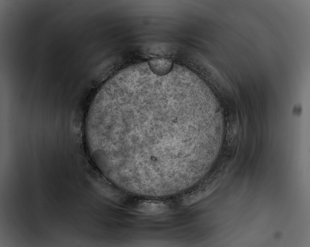 X0000102860749200809021424