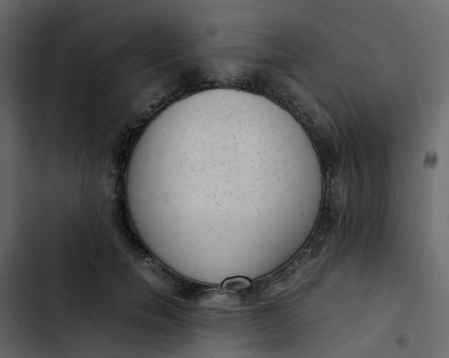 X0000102860750200809021424