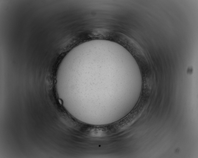 X0000102860751200809021424