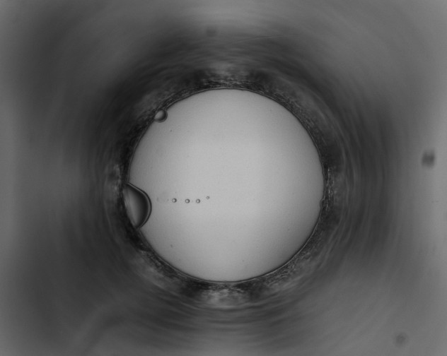 X0000102860752200809021424