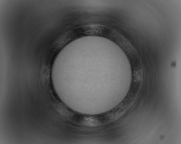 X0000102860753200809021424