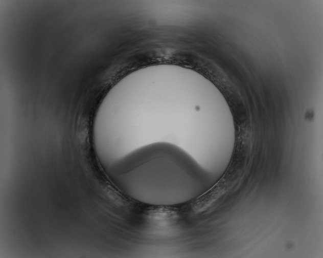 X0000102860754200809021424