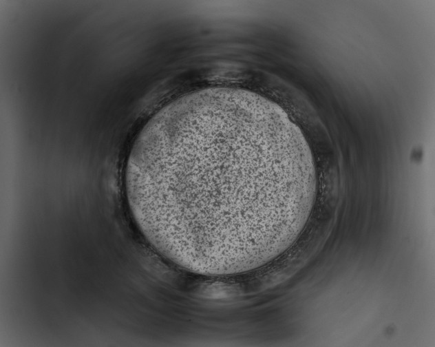 X0000102860755200809021424