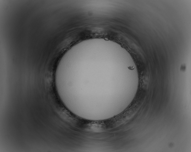 X0000102860756200809021424