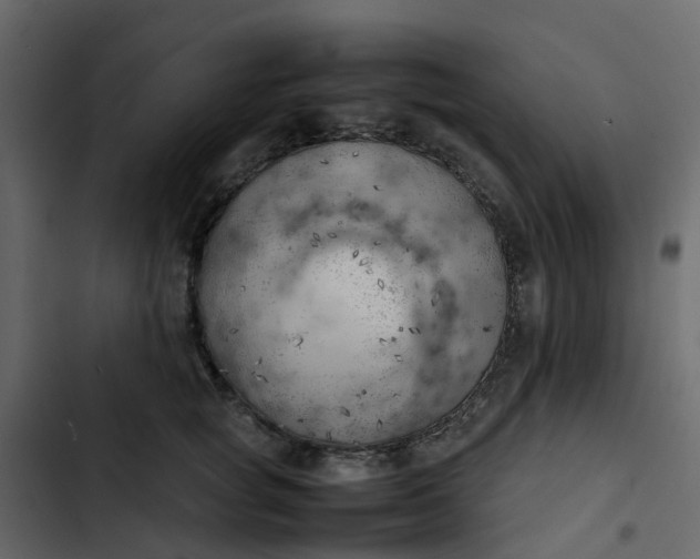 X0000102860757200809021424