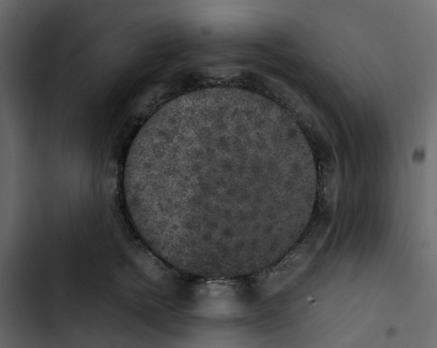 X0000102860758200809021424