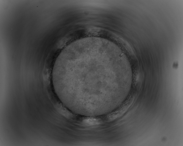 X0000102860759200809021424