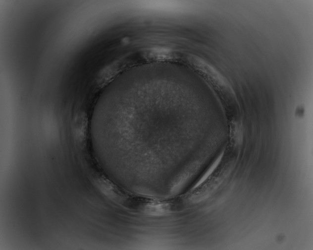 X0000102860760200809021424