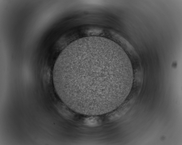 X0000102860761200809021424