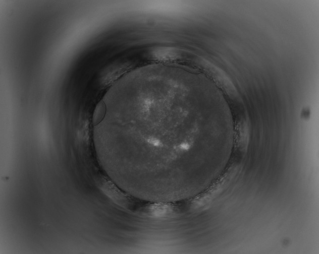 X0000102860762200809021424