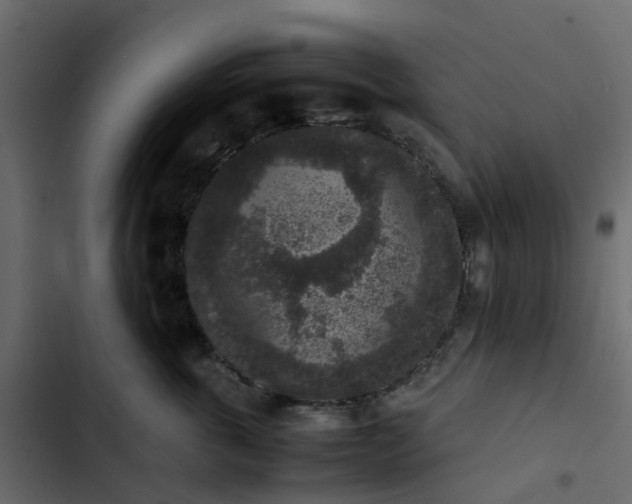 X0000102860763200809021424