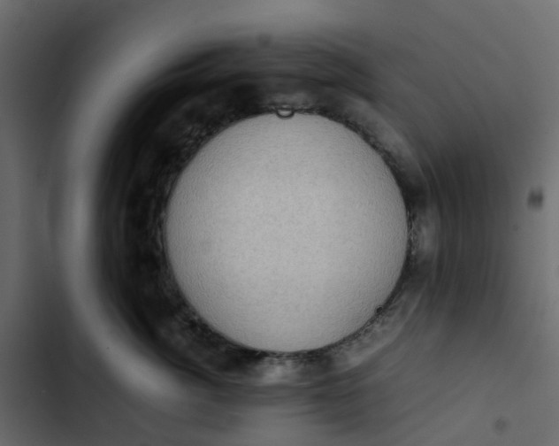 X0000102860764200809021424