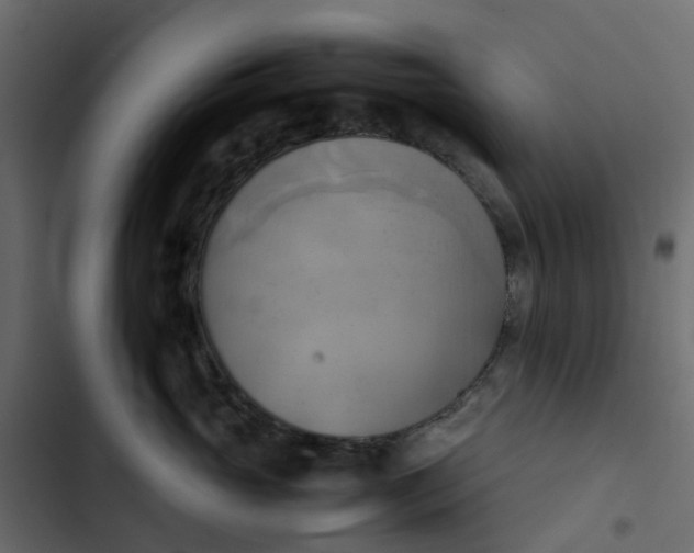 X0000102860765200809021424