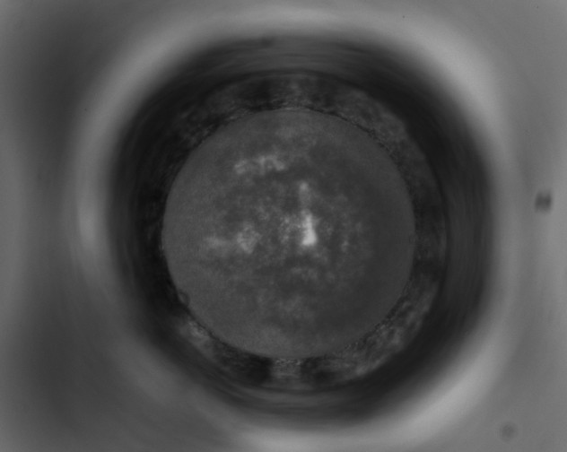 X0000102860766200809021424