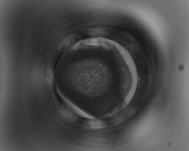 X0000102860767200809021424