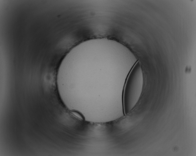 X0000102860768200809021424