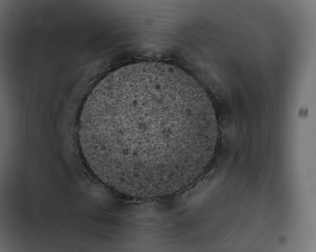 X0000102860769200809021423