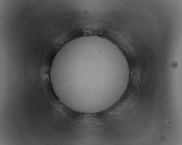 X0000102860770200809021423