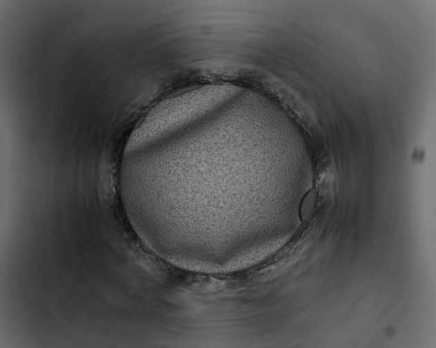 X0000102860772200809021423