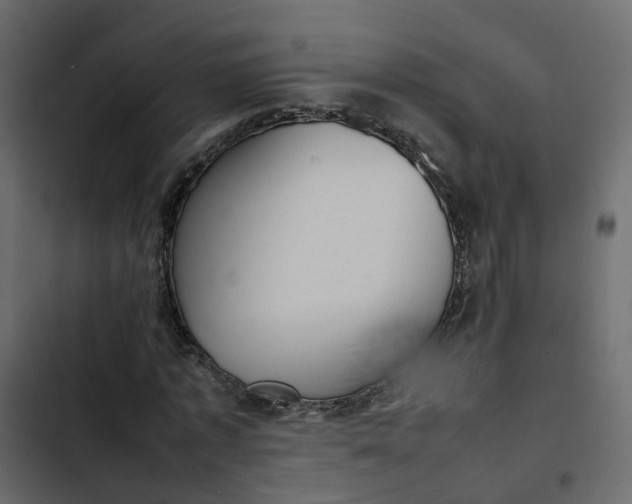 X0000102860773200809021423