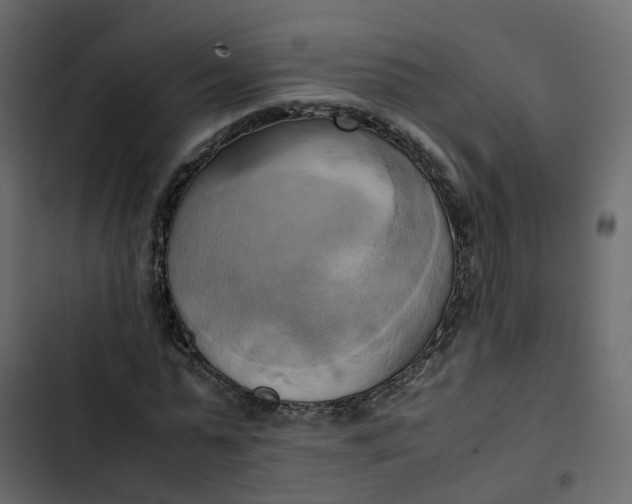 X0000102860775200809021423