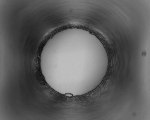 X0000102860776200809021423