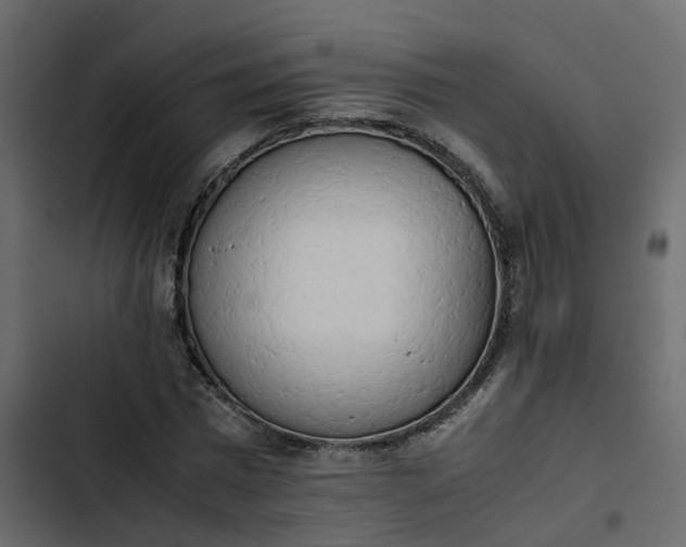 X0000102860777200809021423