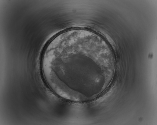 X0000102860779200809021423