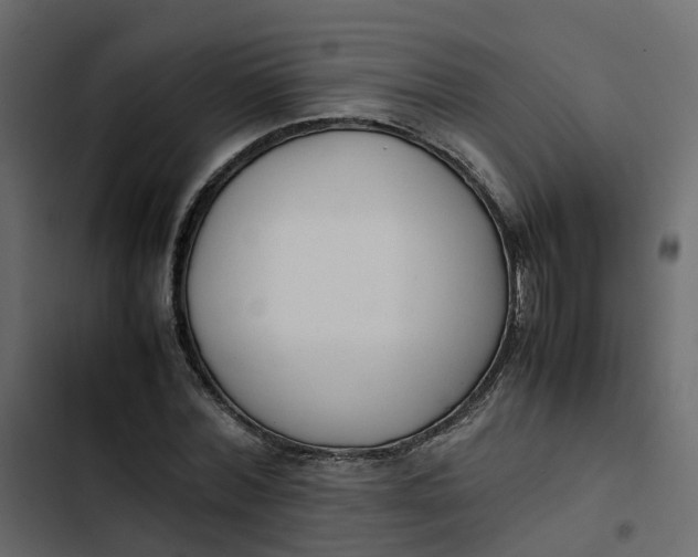 X0000102860780200809021423