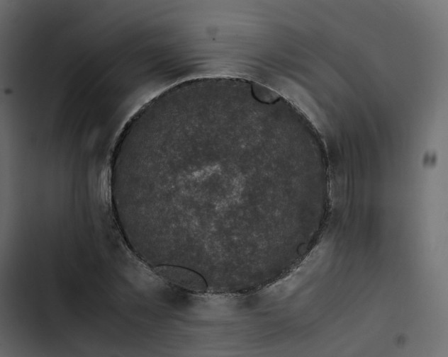 X0000102860781200809021423