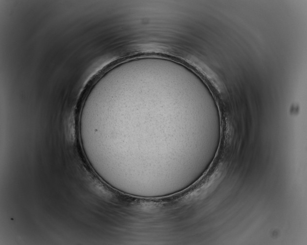 X0000102860782200809021423