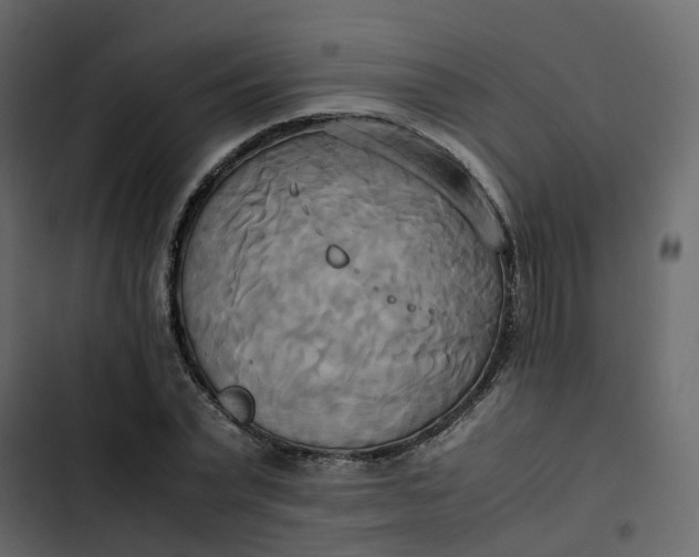 X0000102860783200809021423