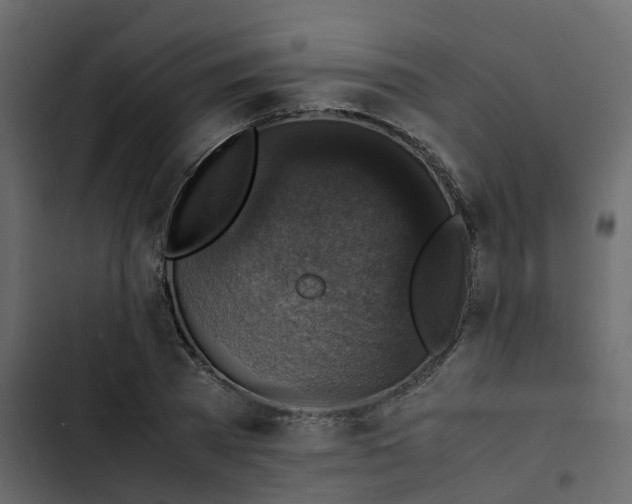 X0000102860785200809021423