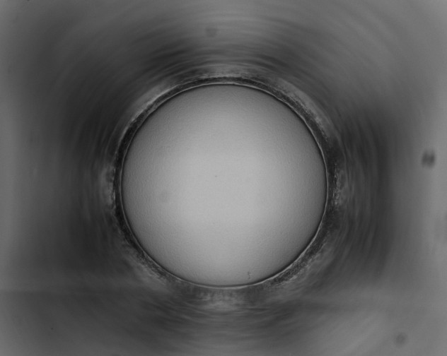 X0000102860786200809021423