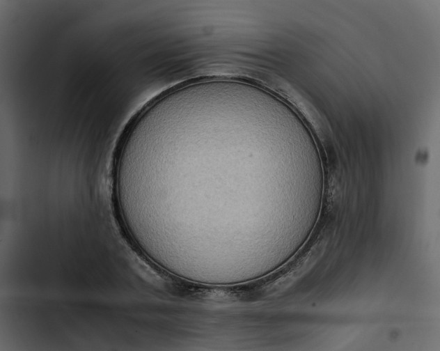 X0000102860787200809021423