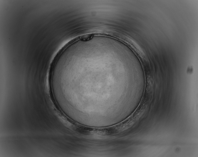 X0000102860788200809021423