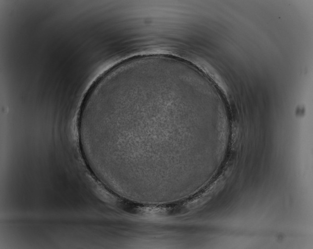 X0000102860789200809021423