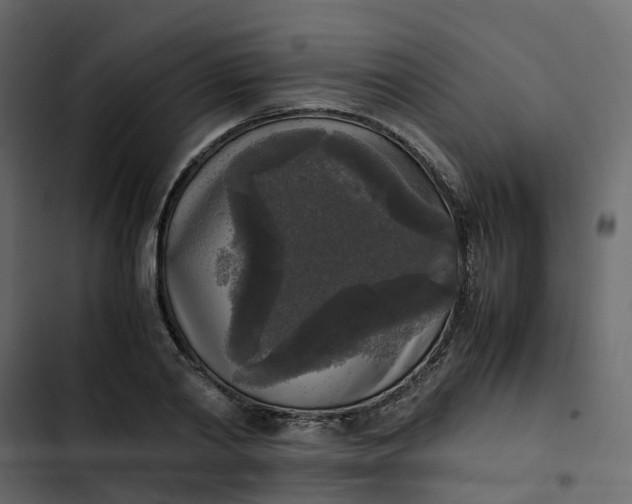 X0000102860790200809021423