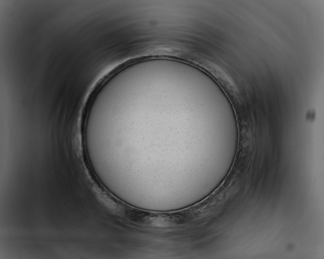 X0000102860792200809021423