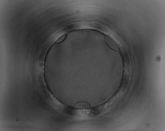 X0000102860793200809021423